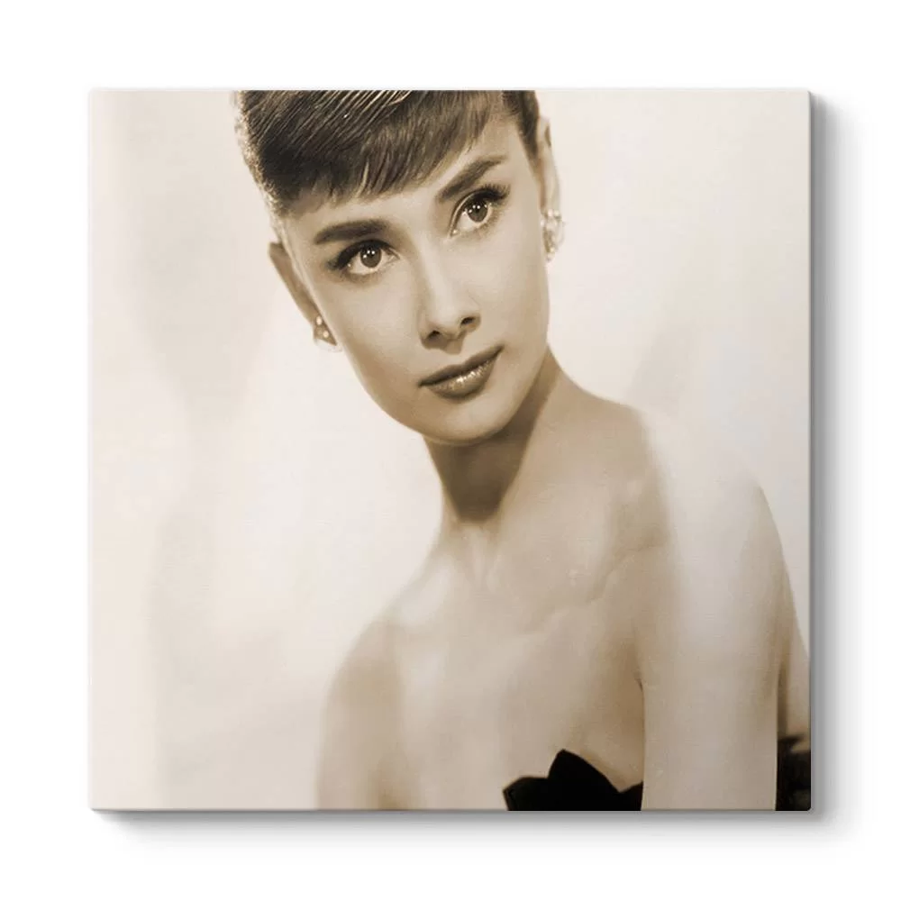 Audrey Hepburn Tablosu - Model 3